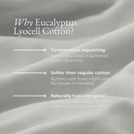 EUCALYRA – Eucalyptus Lyocell Pillow Cases
