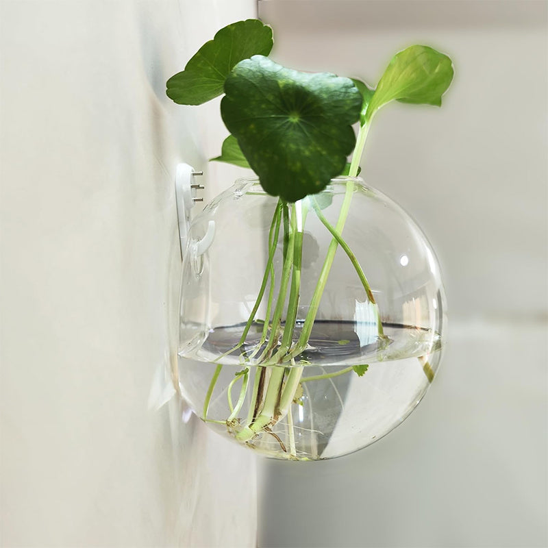 FlowerCrest Wandvase für lebendige Wände