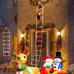 Lumières d'échelle de Noël pour un caractère festif