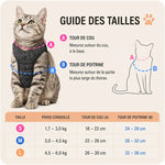No-Pull Cat Harness For Secure Walks
