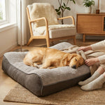 LISTINGOPT::kovosis::hugbed-grosses-kratzfestes-hundebett-mit-orthopadischer-wirbelsaulenunterstutzung::02-inuse