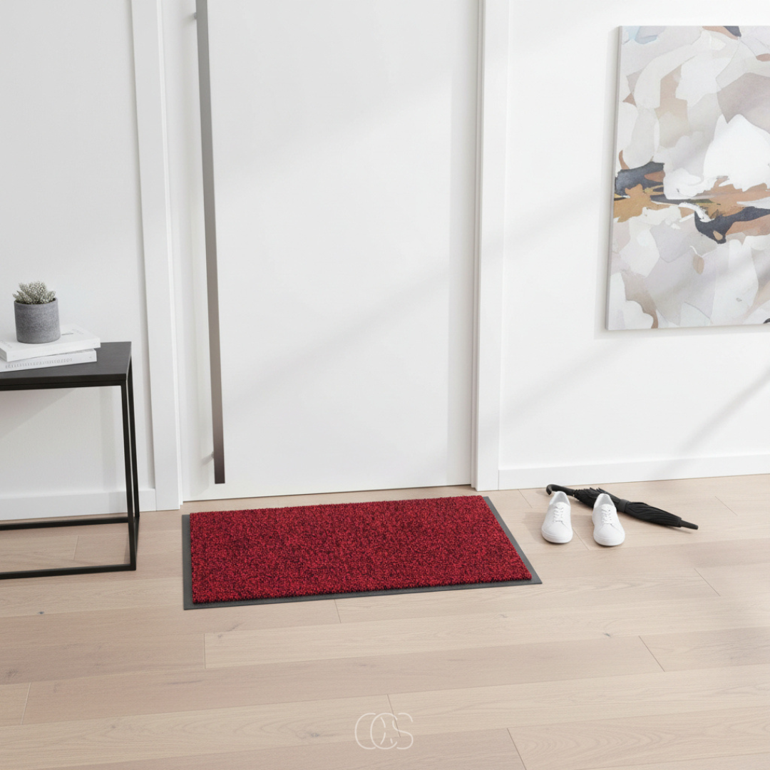 Aryk Doormat For A Cleaner Entrance
