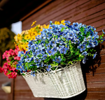 Artificial Flowering Plants With Lasting Charm