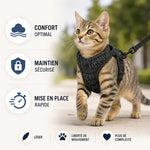 No-Pull Cat Harness For Secure Walks