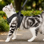 No-Pull Cat Harness For Secure Walks
