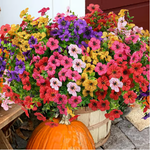Artificial Flowering Plants With Lasting Color
