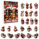 Dachshund Advent Calendar For Festive Charm
