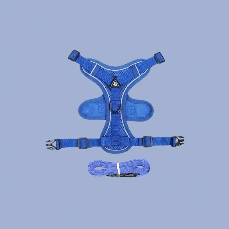 Y-Shaped Cat Harness - Secure Anti-Escape