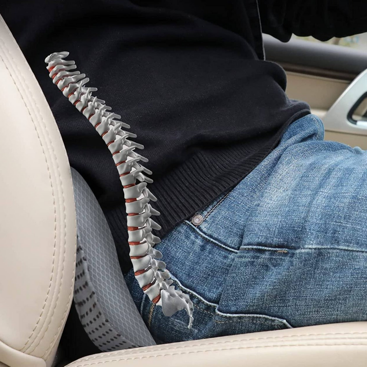 Adult Car Booster Seat Cushion for Clearer Views