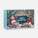 Spielzeug-Adventskalender für magische Weihnachtsfreude
