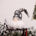 Gnomo di Natale Luminoso con Fascino Festivo